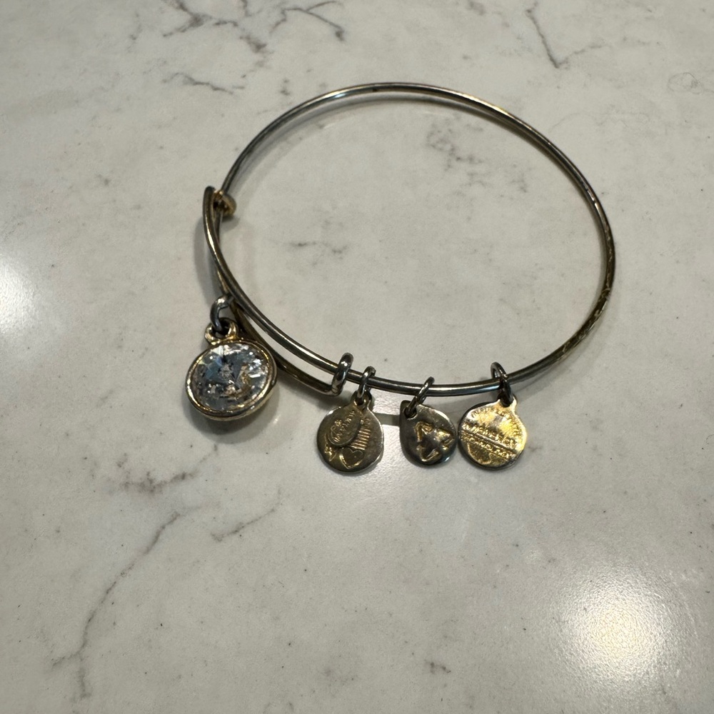 Alex and Ani Gold Minimalist Bracelet